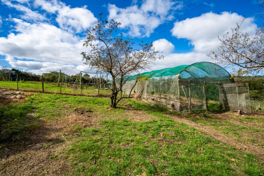 3 Bedroom Property for Sale in Bathurst Eastern Cape
